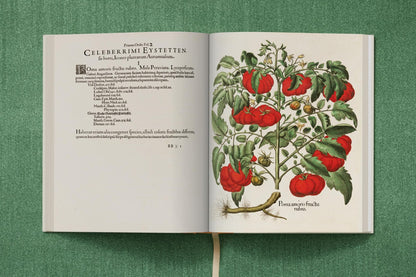 Basilius Besler. The Garden at Eichstätt (German, French, English) (FFE) - mosswell.us