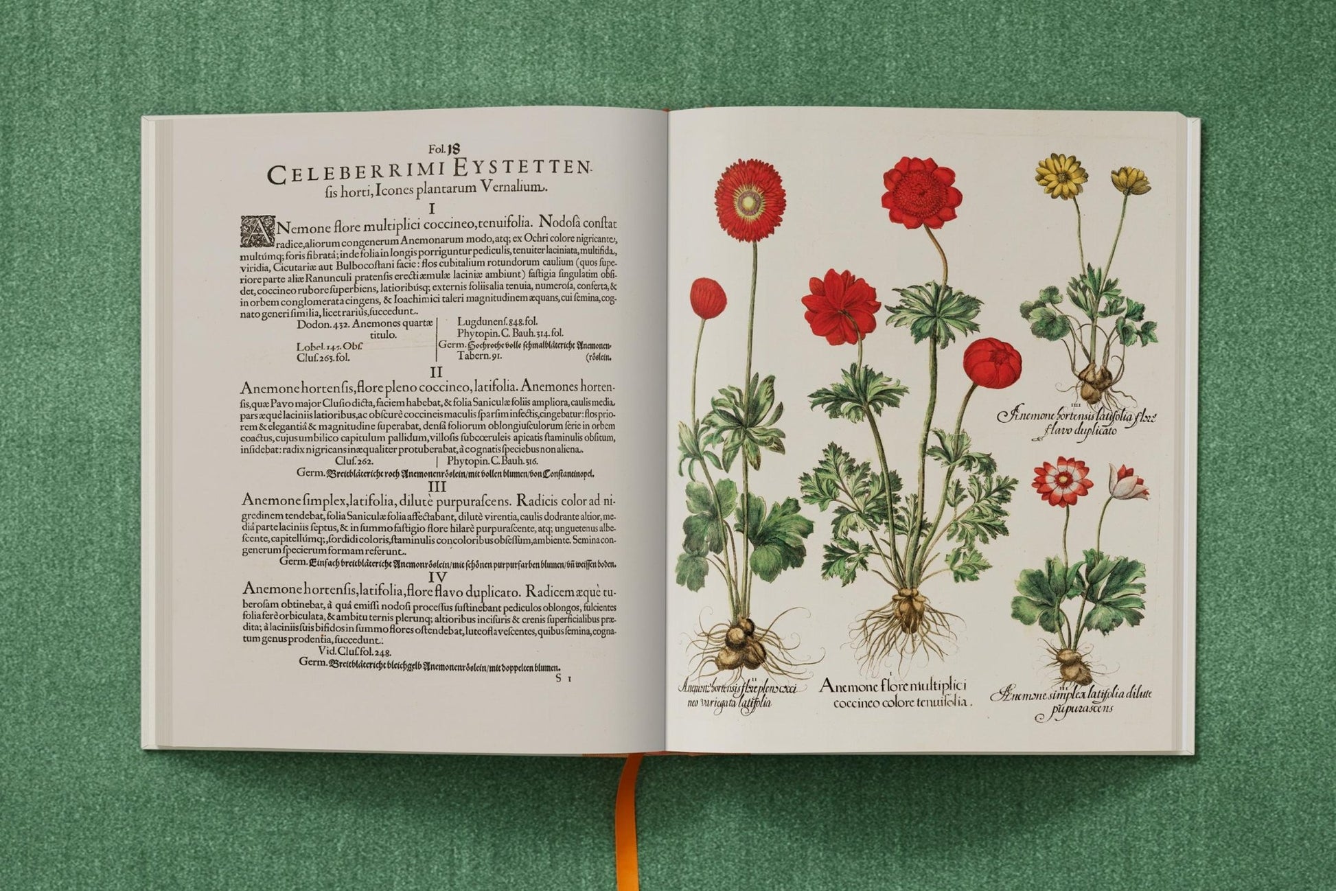 Basilius Besler. The Garden at Eichstätt (German, French, English) (FFE) - mosswell.us