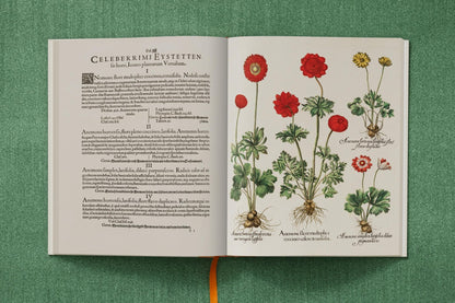 Basilius Besler. The Garden at Eichstätt (German, French, English) (FFE) - mosswell.us