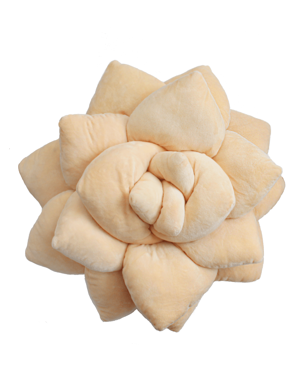 Big Pop Succulent® - Blush Peach - mosswell.us