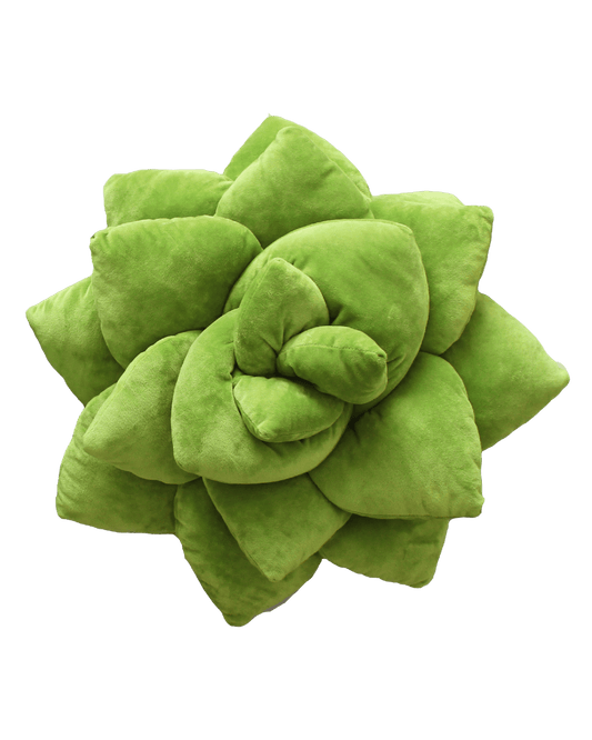 Big Pop Succulent® - Olive Green - mosswell.us