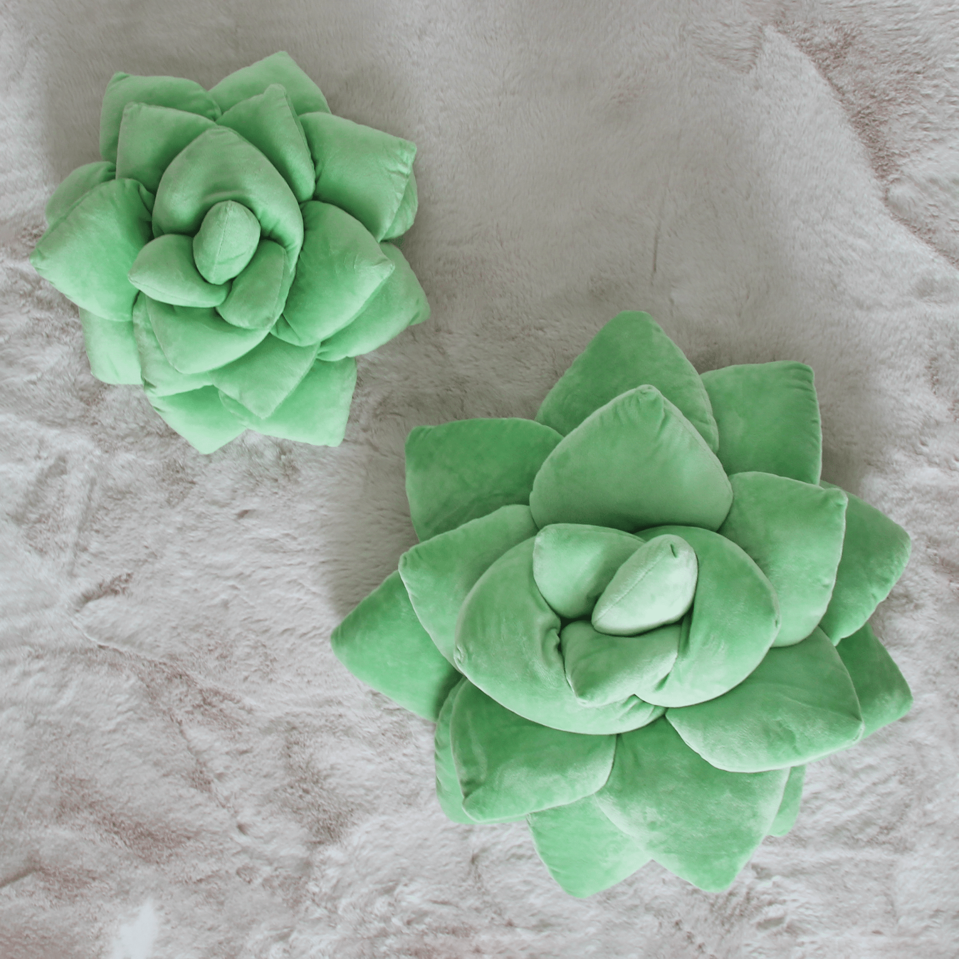 Big Pop Succulent® - Sage Green - mosswell.us