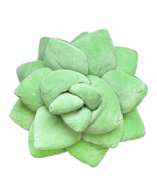 Big Pop Succulent® - Sage Green - mosswell.us