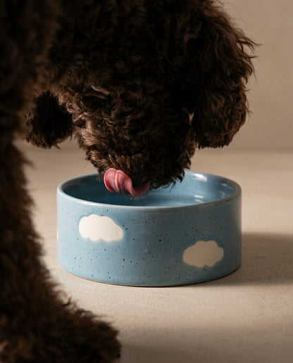 Set of 2 Blue Large stoneware ceramic Pet Bowls — Cloud Collection
