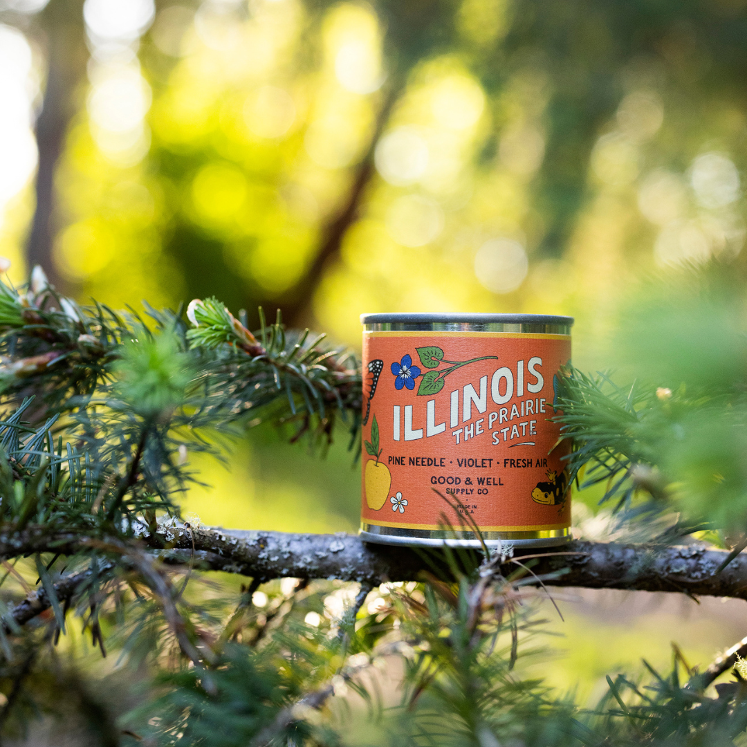 Illinois State Candle - mosswell.us