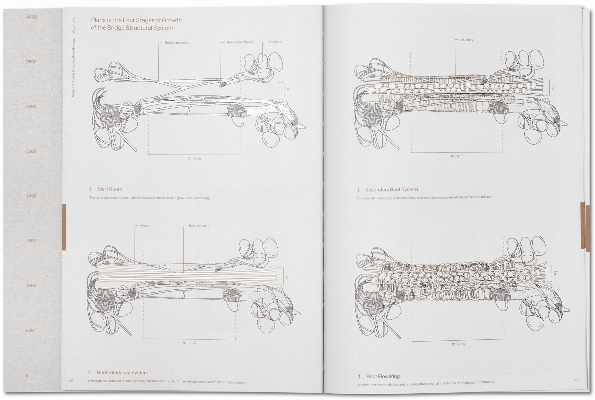 Julia Watson. Lo—TEK. Design by Radical Indigenism (English) - mosswell.us
