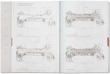Julia Watson. Lo—TEK. Design by Radical Indigenism (English) - mosswell.us