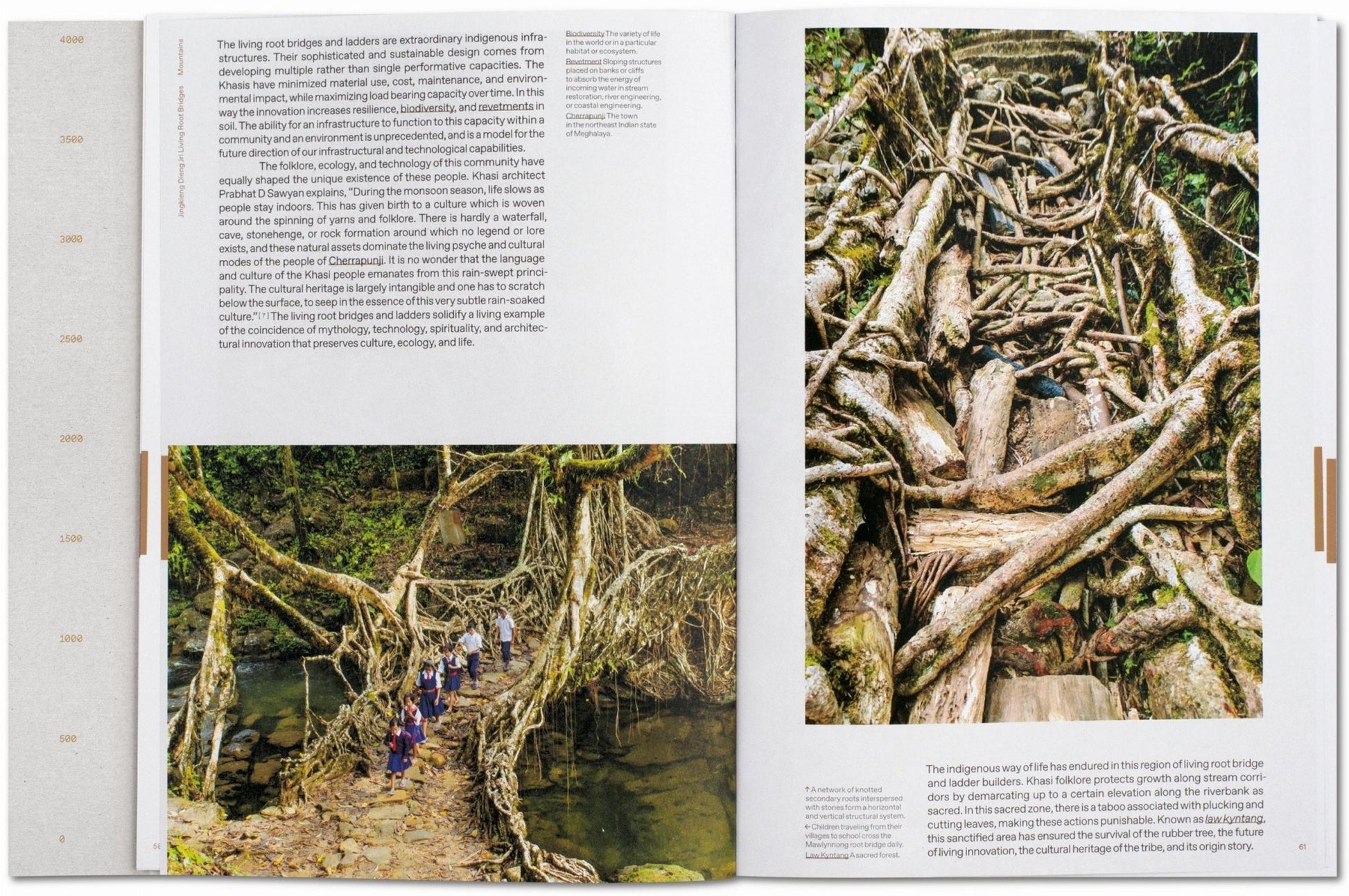 Julia Watson. Lo—TEK. Design by Radical Indigenism (English) - mosswell.us