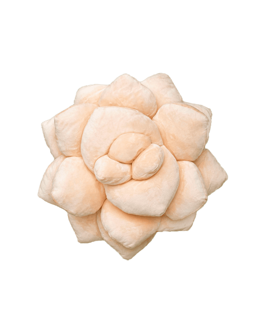 Lil' Pop Succulent® - Blush Peach - mosswell.us