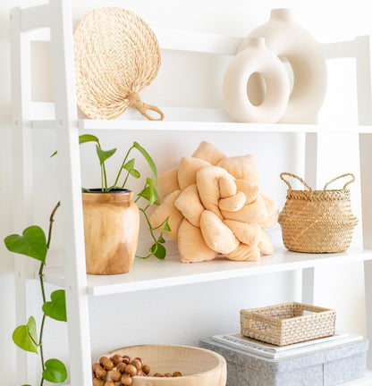 Lil' Pop Succulent® - Blush Peach - mosswell.us