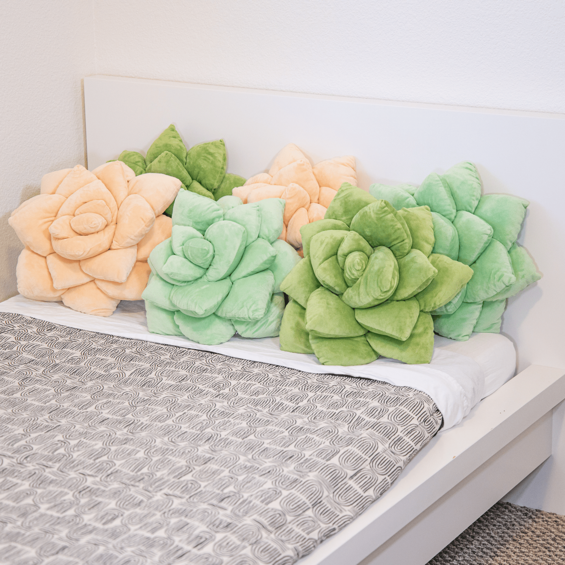 Lil' Pop Succulent® - Blush Peach - mosswell.us