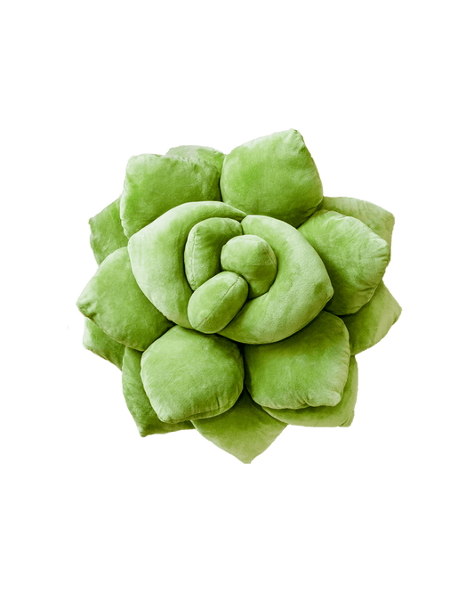 Lil' Pop Succulent® - Olive Green - mosswell.us