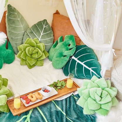 Lil' Pop Succulent® - Sage Green - mosswell.us