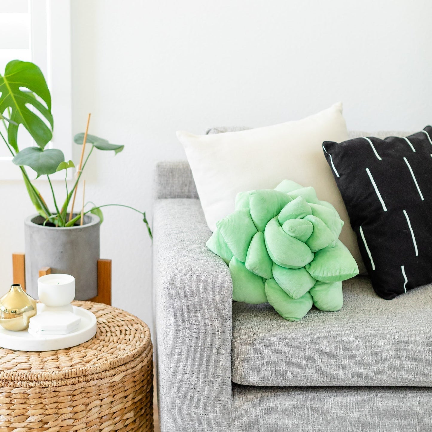 Lil' Pop Succulent® - Sage Green - mosswell.us