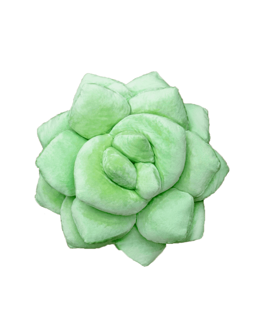 Lil' Pop Succulent® - Sage Green - mosswell.us
