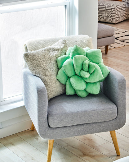 Lil' Pop Succulent® - Sage Green - mosswell.us