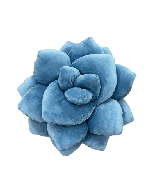 Lil' Pop Succulent® - Smokey Blue - mosswell.us