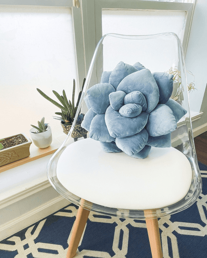 Lil' Pop Succulent® - Smokey Blue - mosswell.us