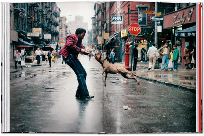 New York. Portrait of a City (English) - mosswell.us
