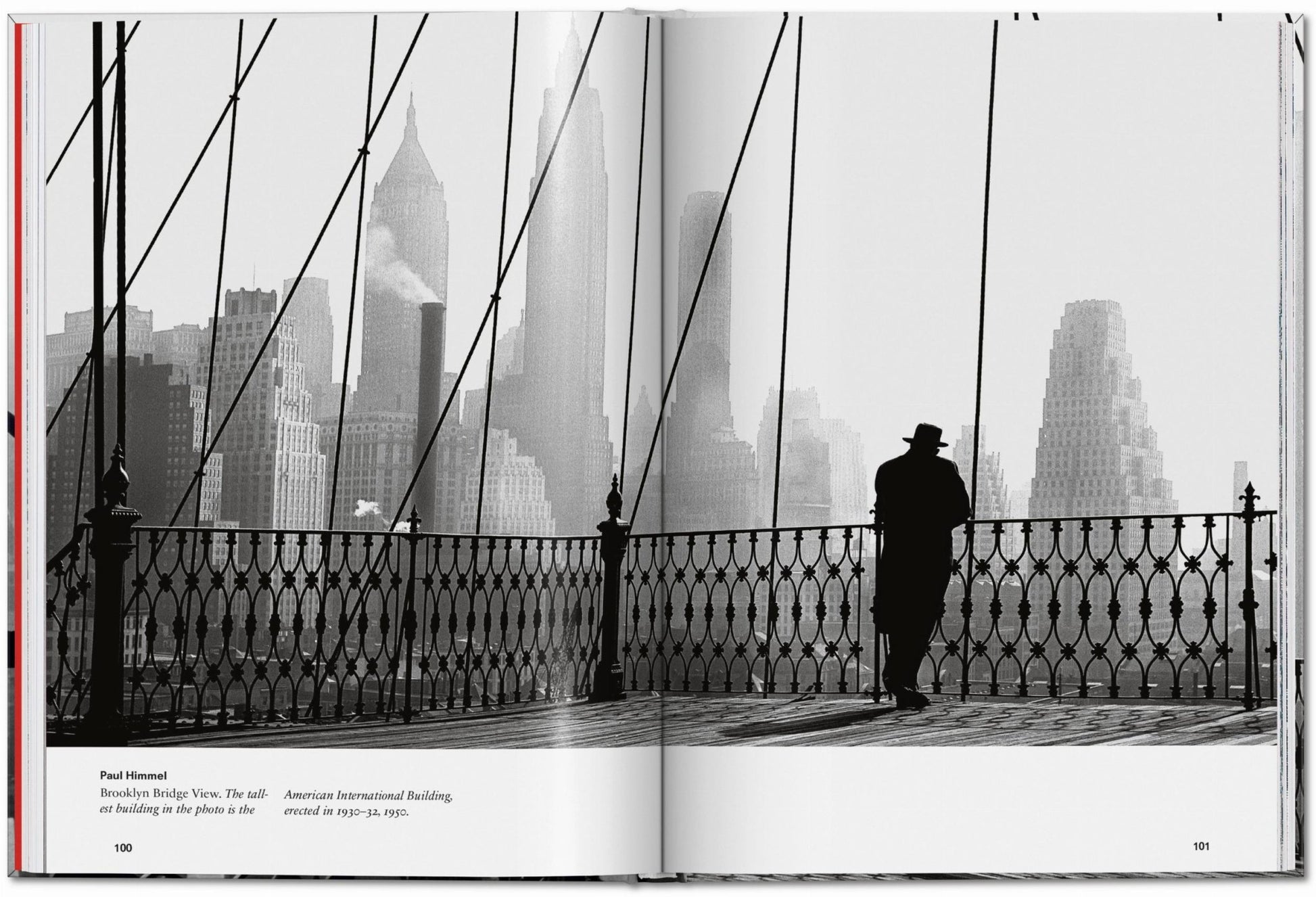 New York. Portrait of a City (English) - mosswell.us