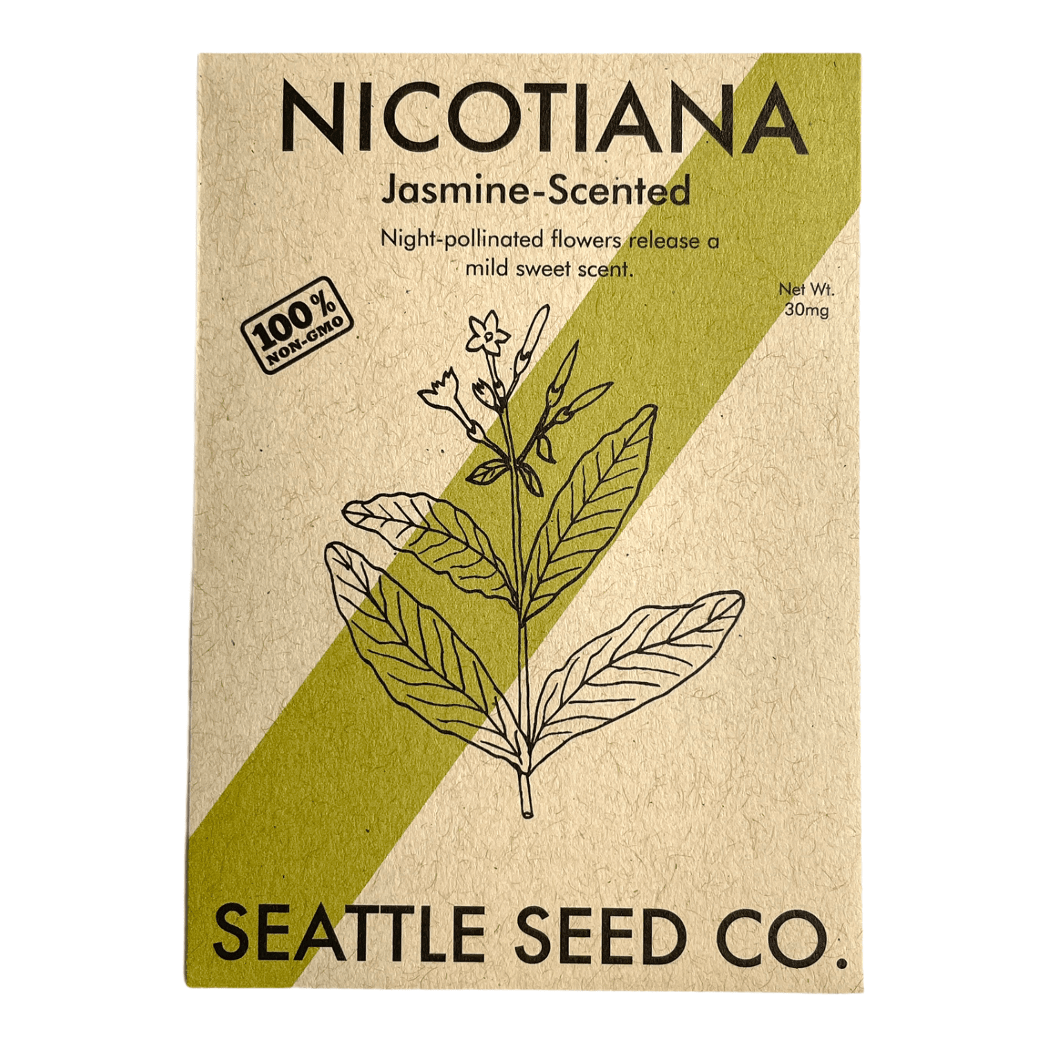 Nicotiana - Jasmine Scented - mosswell.us