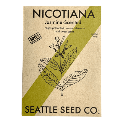 Nicotiana - Jasmine Scented - mosswell.us