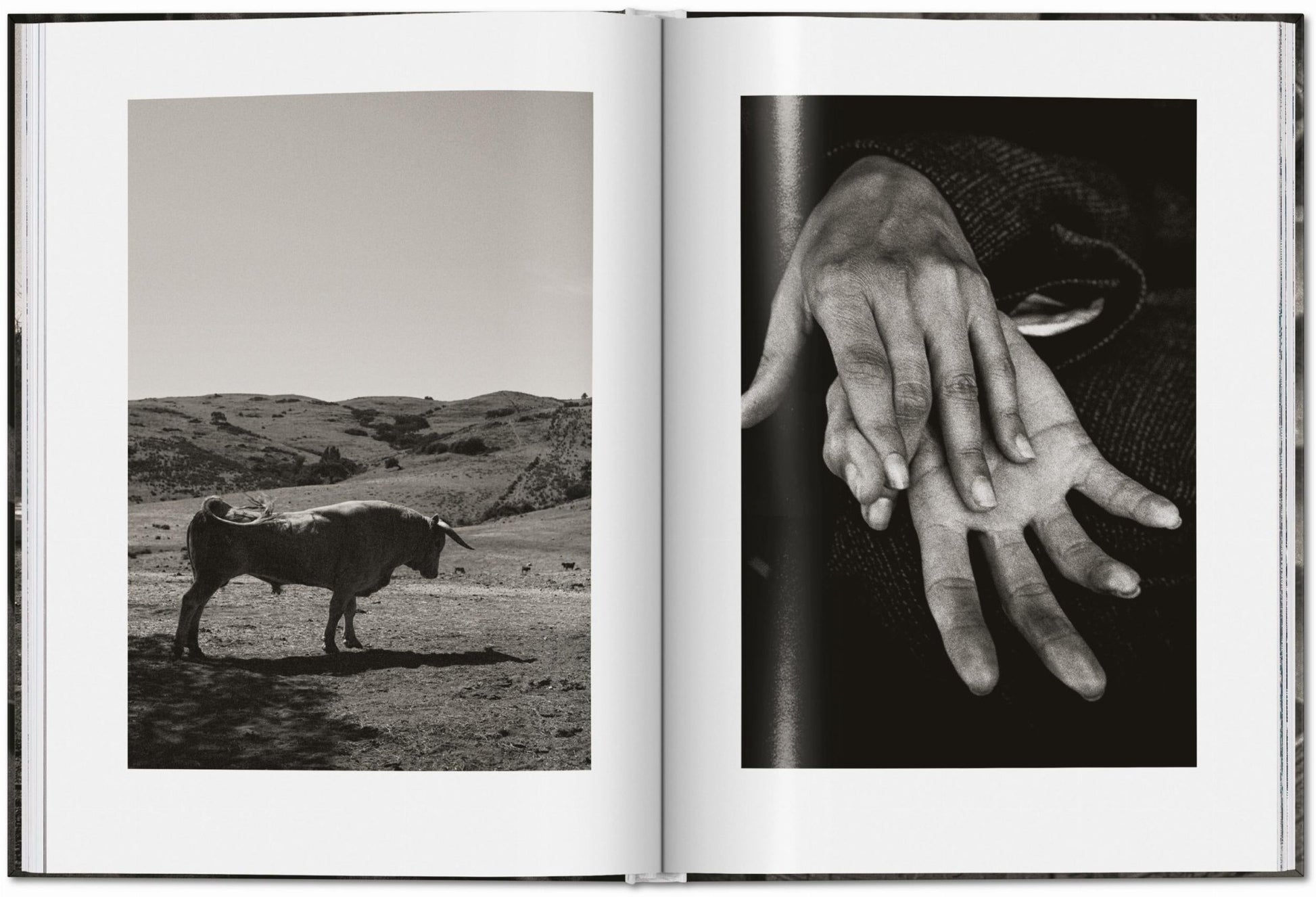 Peter Lindbergh. Untold Stories (English) - mosswell.us