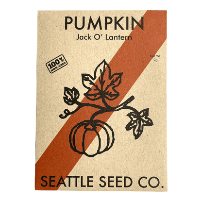 Pumpkin - Jack 'O Lantern - mosswell.us