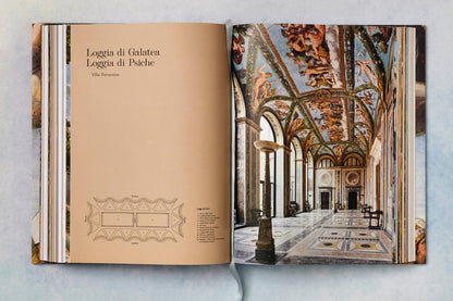 Raphael. The Complete Works. Paintings, Frescoes, Tapestries, Architecture (English) - mosswell.us