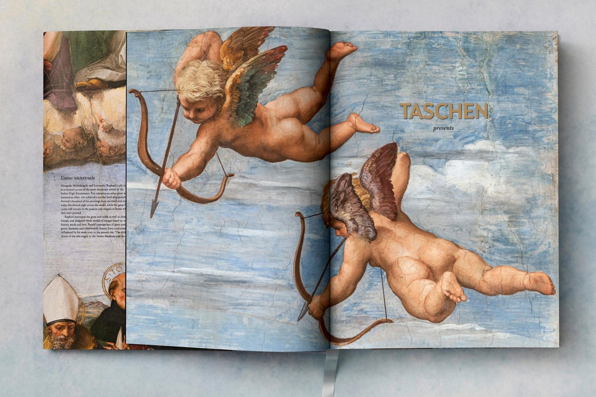 Raphael. The Complete Works. Paintings, Frescoes, Tapestries, Architecture (English) - mosswell.us