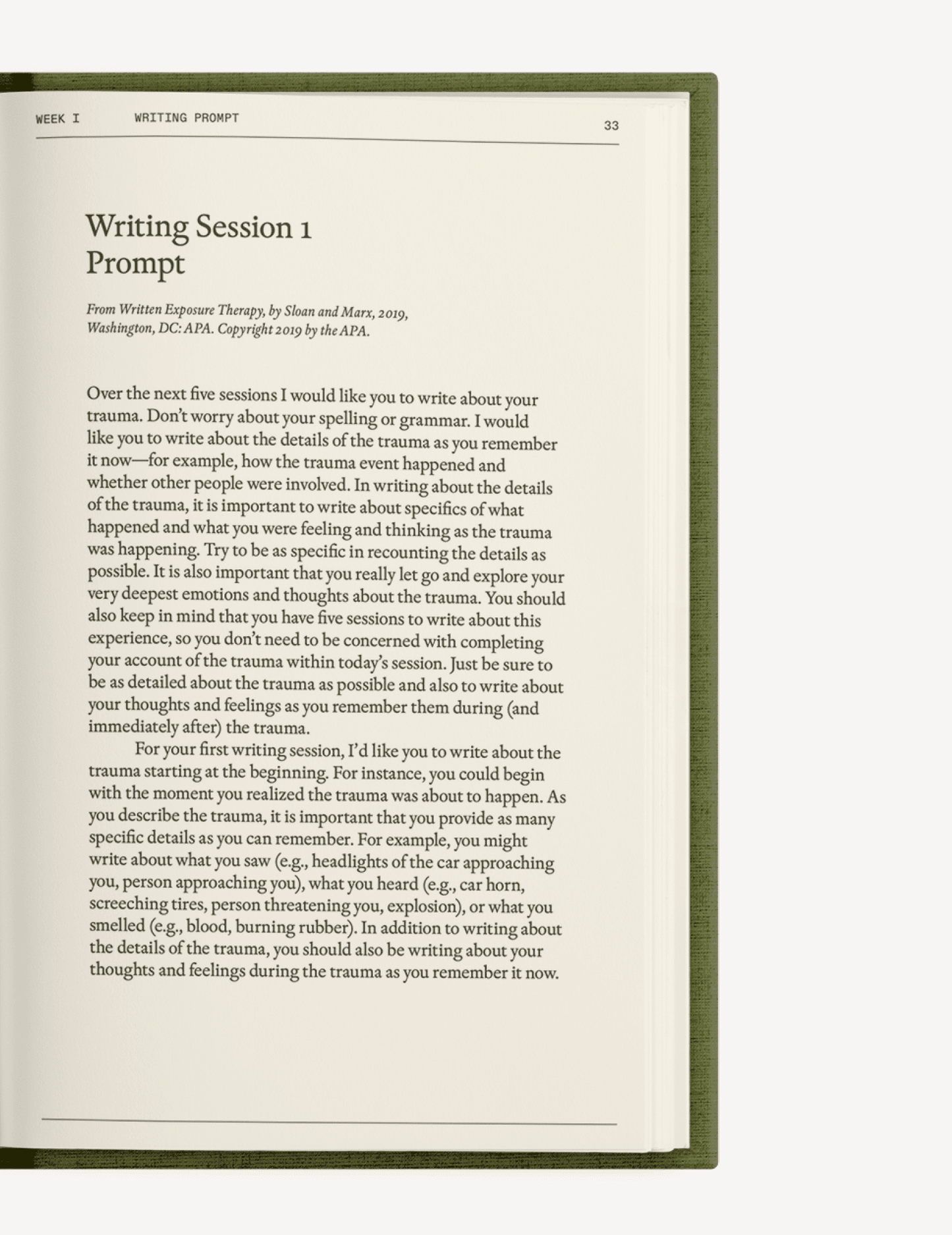 The After - Trauma Notebook - mosswell.us