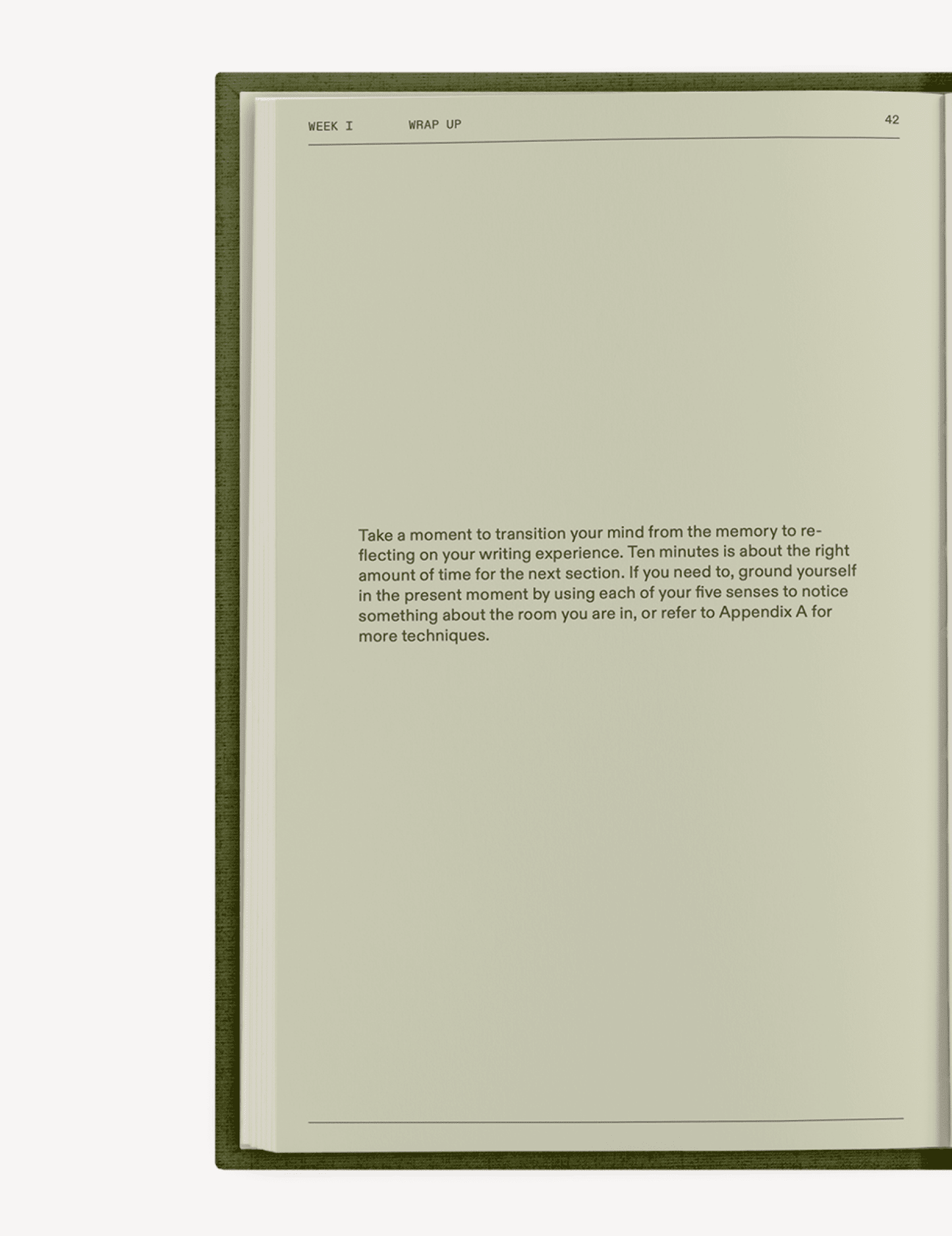 The After - Trauma Notebook - mosswell.us