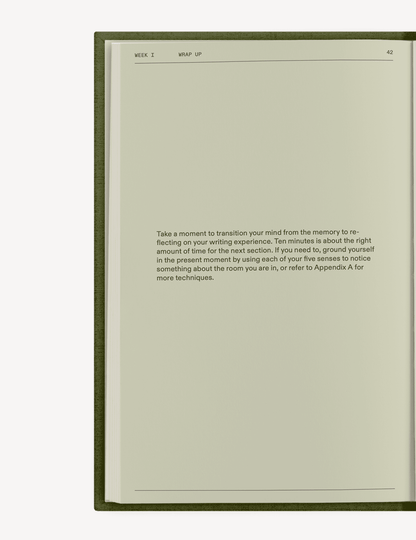 The After - Trauma Notebook - mosswell.us