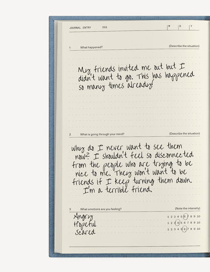 The Anti - Anxiety Notebook - mosswell.us