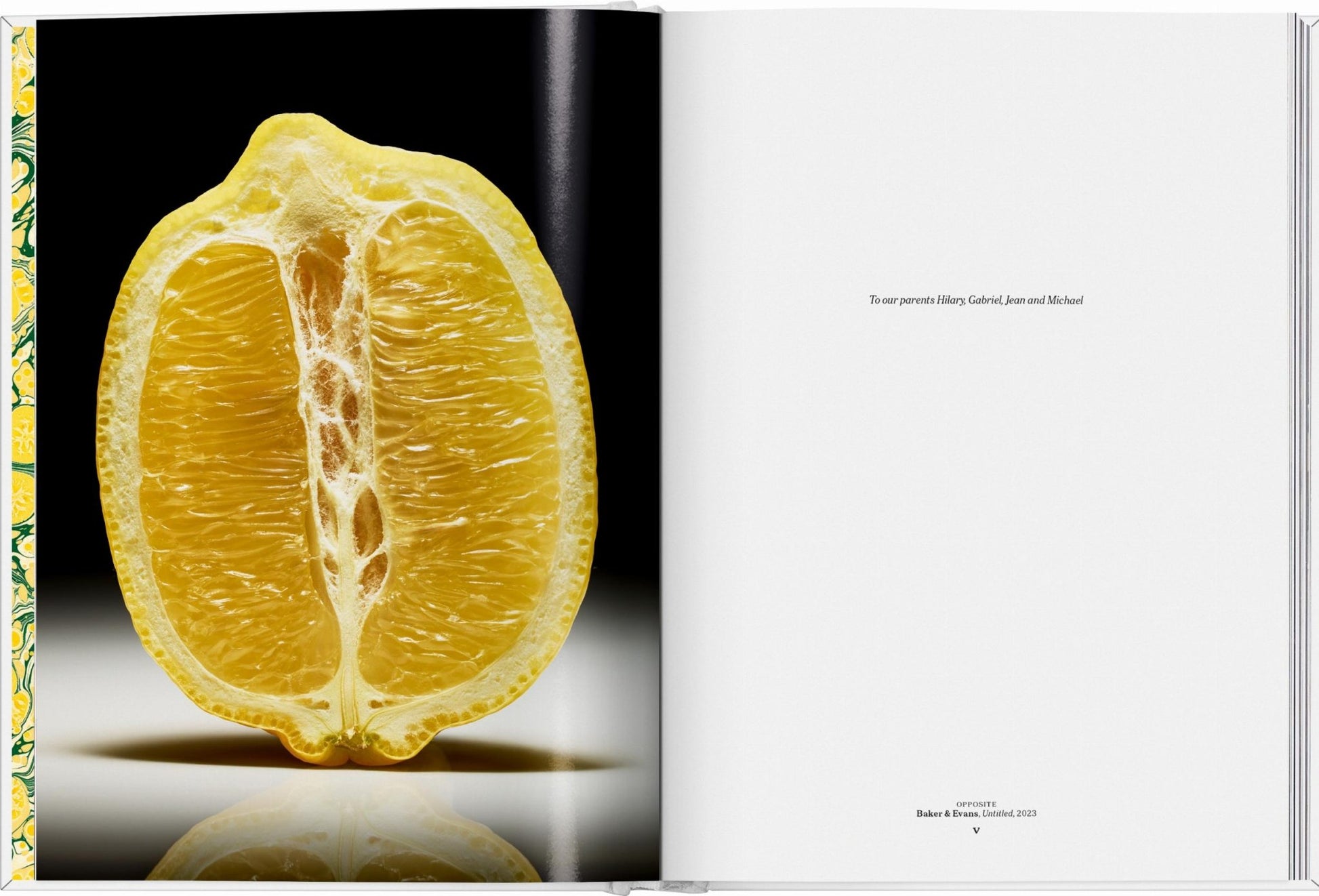 The Gourmand's Lemon. A Collection of Stories and Recipes (English) - mosswell.us