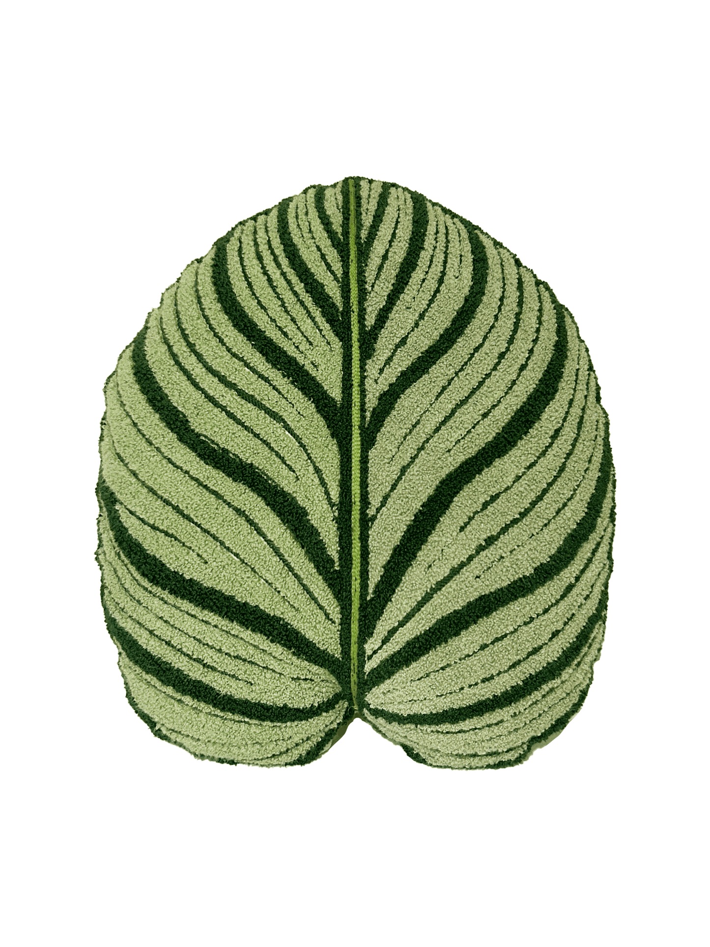 Tufted Calathea Orbifolia Leaf Pillow - mosswell.us