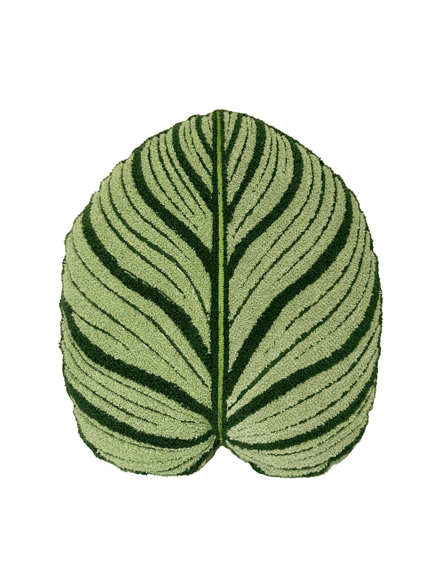 Tufted Calathea Orbifolia Leaf Pillow - mosswell.us