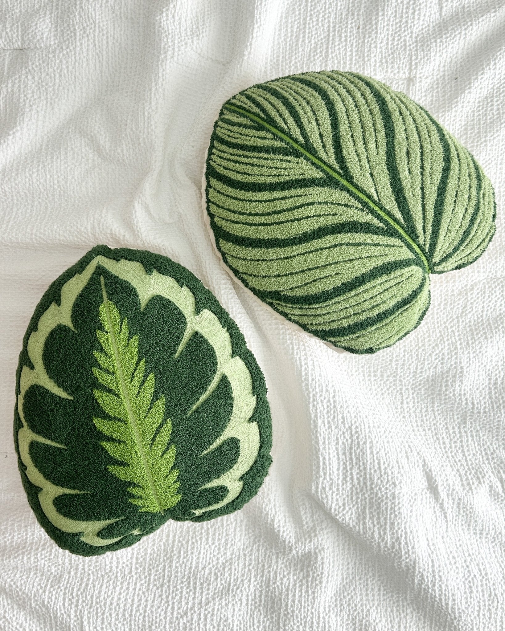 Tufted Calathea Orbifolia Leaf Pillow - mosswell.us